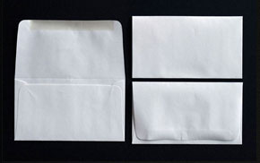 Remittance Envelope