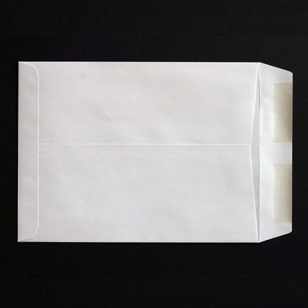 catalog envelopes printed for less in sixteen sizes