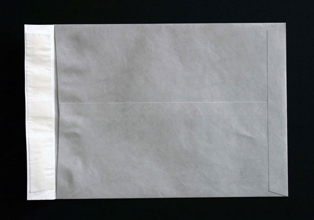 tyvek catalog and booklet envelopes printed and available in 16 sizes.